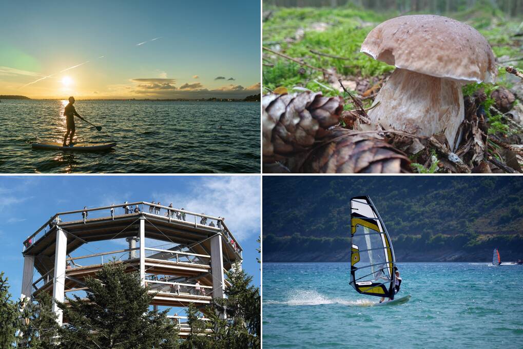 Sommerabenteuer in der Lipno-Region – Paddleboarding, Pilze sammeln, Baumwipfelpfad und Windsurfing