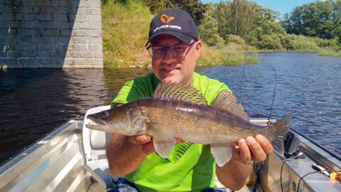 Ein kleinerer Zander aus dem Lipno-See – ein hervorragender Anfang eines Fischertages