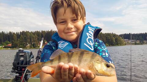 Ein junger Angler mit einem Barsch – Kinderfang aus dem Lipno-See