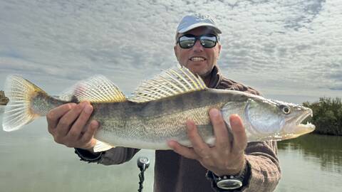 Zander aus dem Lipno-See – beliebter Raubfisch unter Sportanglern