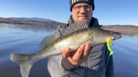 Trophäenhecht aus dem Lipno-Stausee – ein Angelerlebnis für das ganze Leben