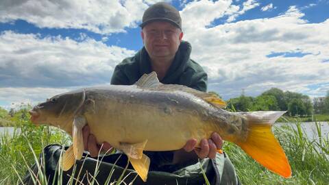 Karpfen der im Lipno-See gefangen wurde – einer der beliebtesten Fische in den tschechischen Gewässern
