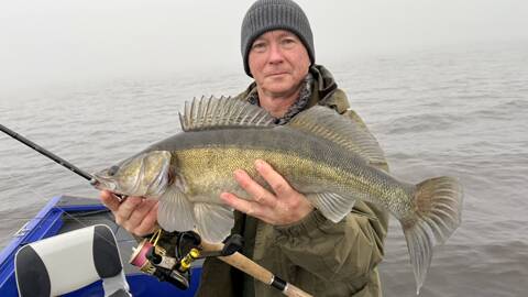 Ein weiterer schöner Zander aus dem Lipno-See – ein Lieblingsziel der Angeln auf dieser Talsperre 