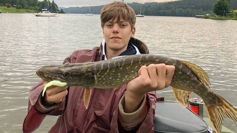 Großer Hecht, der im Lipno-Stausee gefangen wurde – ein erfolgreicher Raubfischfang im Stausee