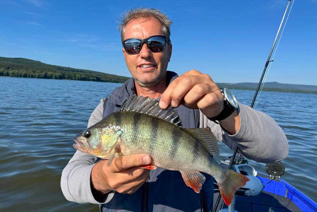 Barschfang am Lipno-See – Sportangeln mit Angelführer - Lipno Club