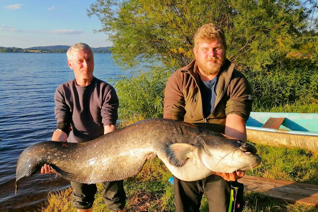 Riesiger Wels, der im Lipno-See gefangen wurde – Das Angelrevier mit Möglichkeit von Trophäenfischen